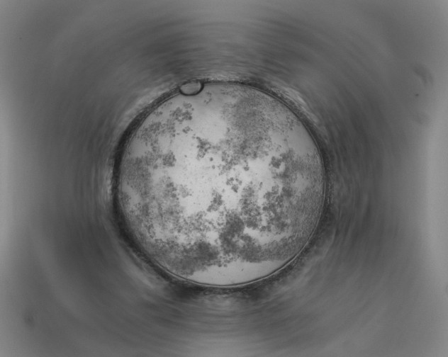X0000114430299200911061648