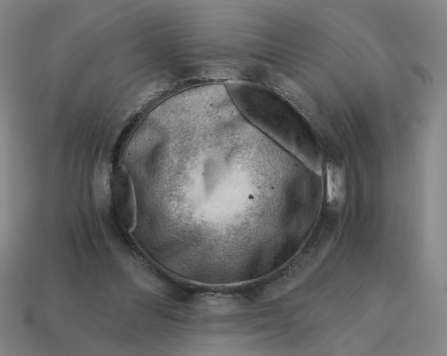 X0000114430300200911061648