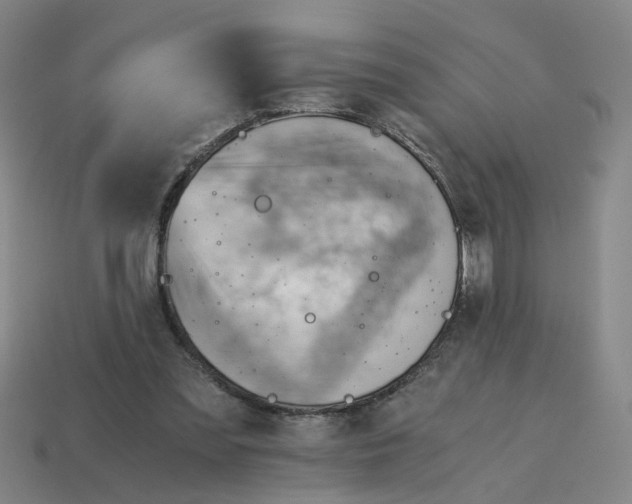 X0000114430301200911061648