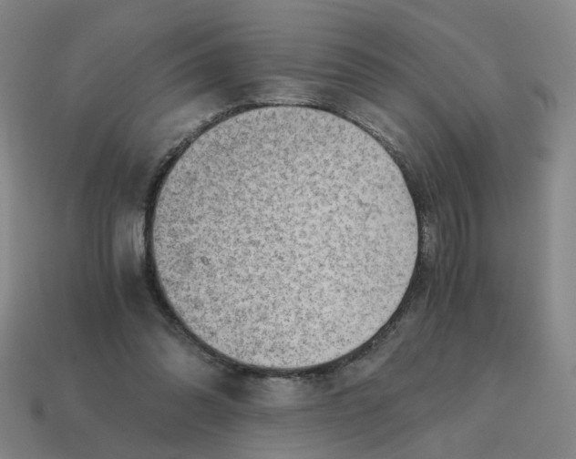 X0000114430302200911061648