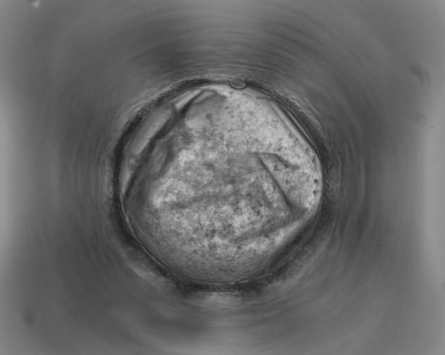 X0000114430303200911061648