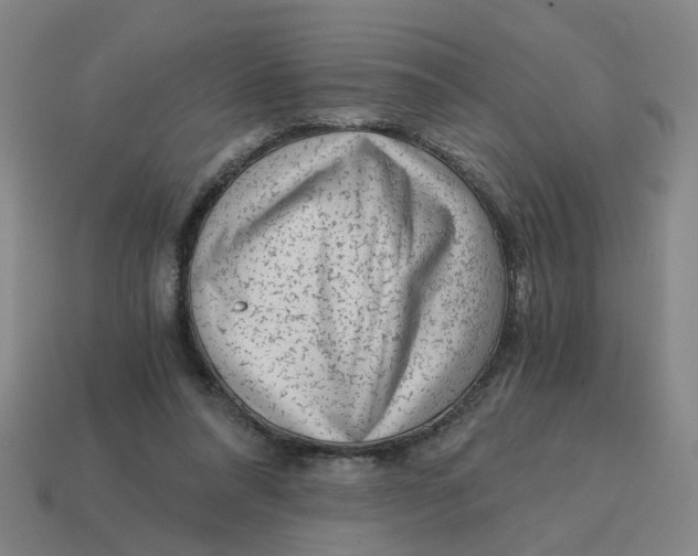 X0000114430304200911061648
