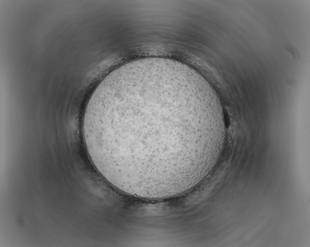 X0000114430306200911061648