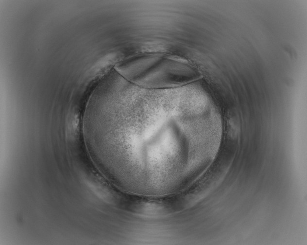 X0000114430308200911061648