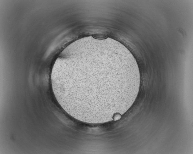X0000114430309200911061648