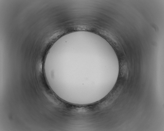 X0000114430310200911061648