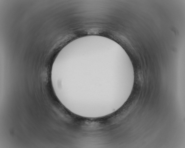 X0000114430311200911061648