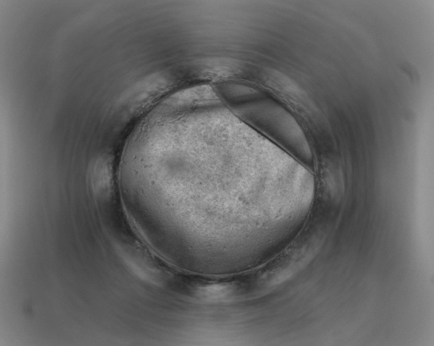 X0000114430312200911061648