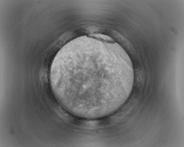 X0000114430313200911061648
