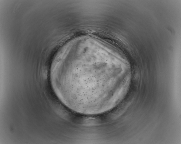 X0000114430315200911061648