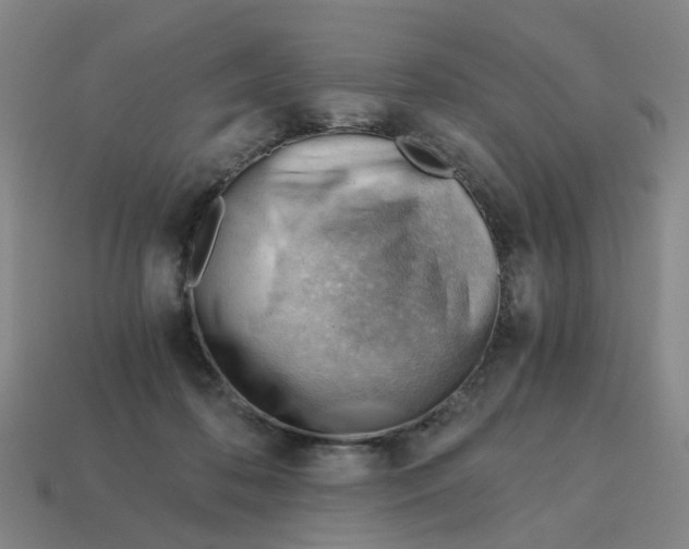 X0000114430316200911061648