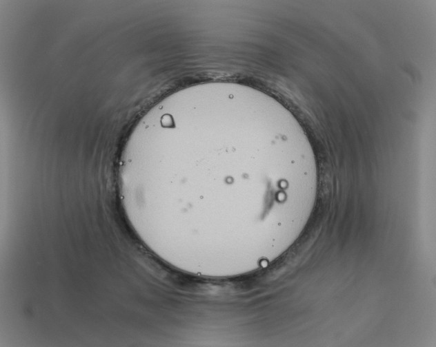 X0000114430317200911061648