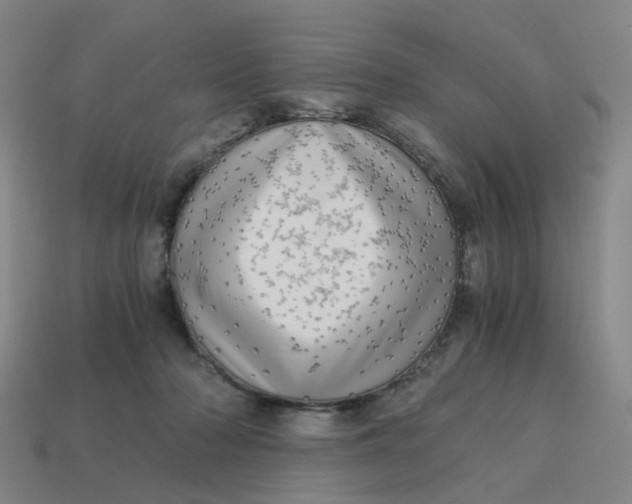 X0000114430318200911061648