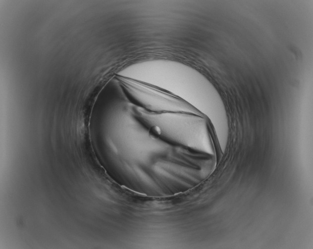 X0000114430320200911061648