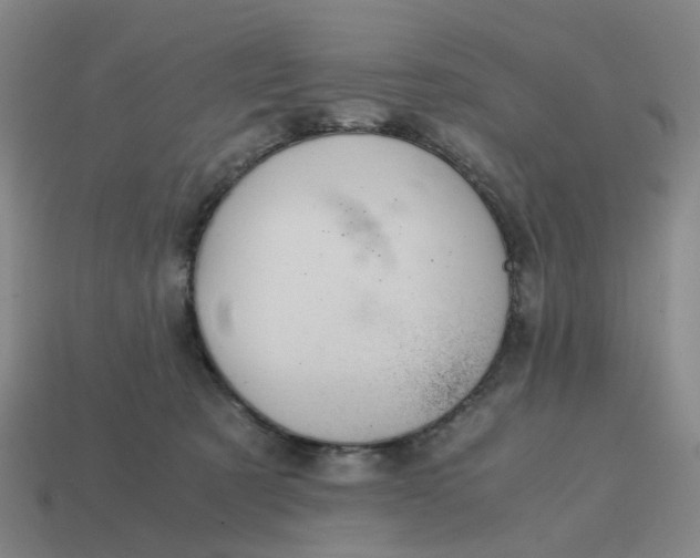 X0000114430321200911061648