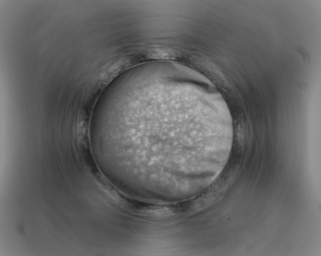 X0000114430322200911061648