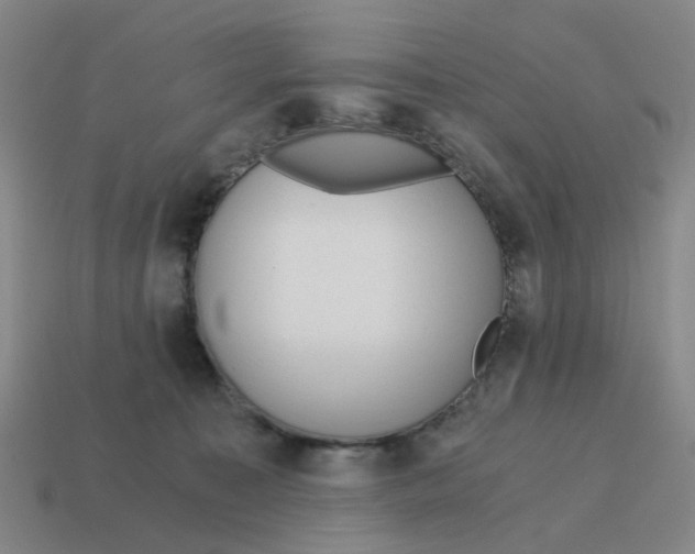 X0000114430323200911061648