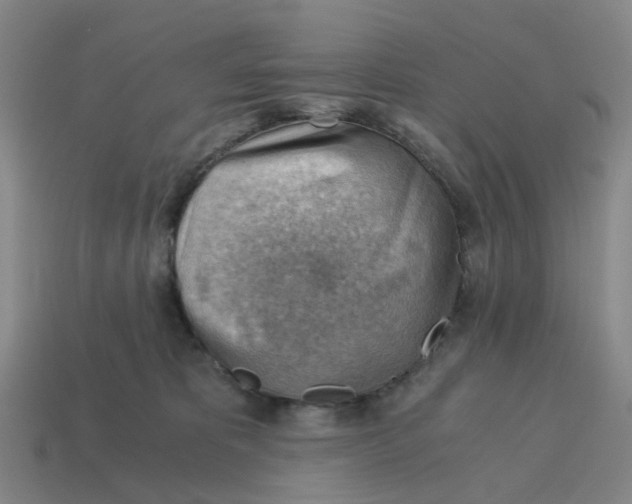 X0000114430325200911061648