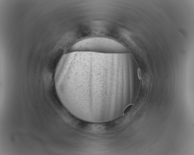 X0000114430327200911061648