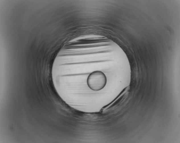 X0000114430328200911061648