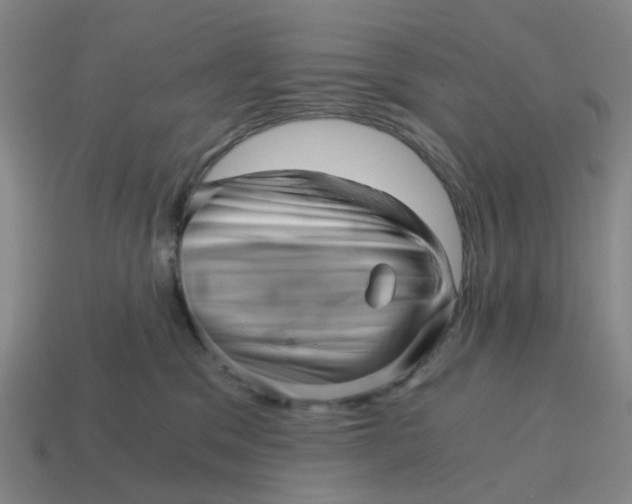 X0000114430329200911061648