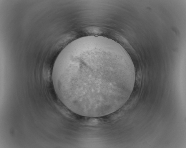 X0000114430330200911061648