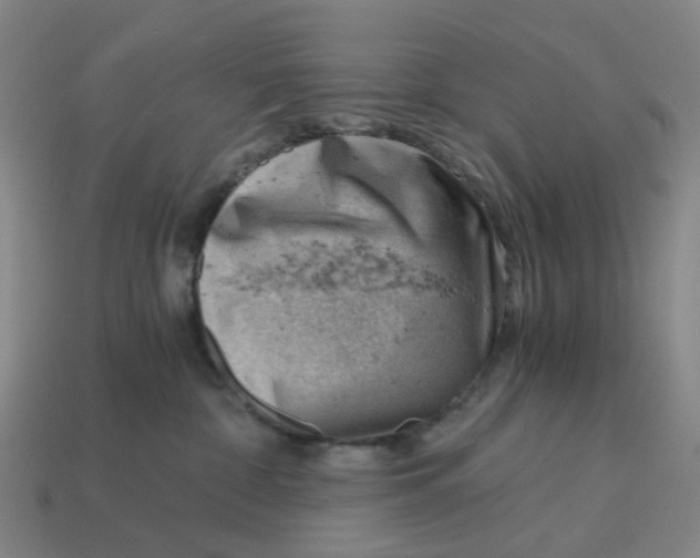 X0000114430332200911061648