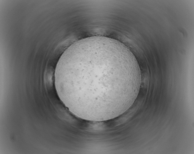 X0000114430334200911061648