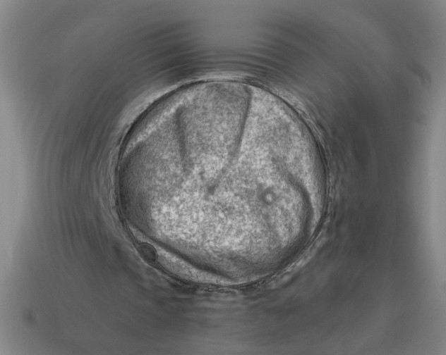 X0000114430337200911061647