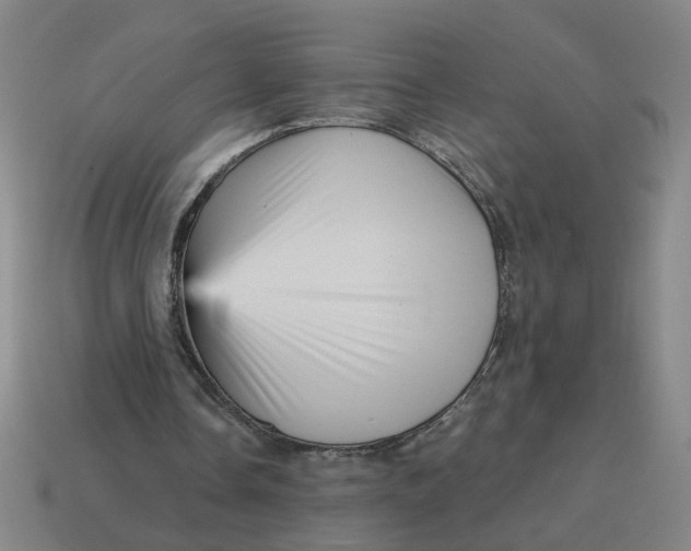 X0000114430338200911061647