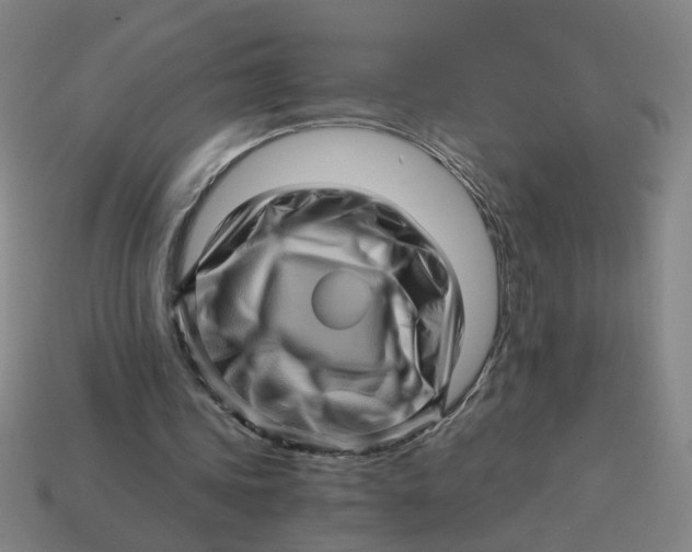 X0000114430339200911061647