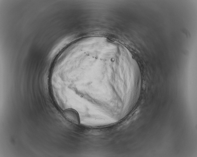 X0000114430341200911061647