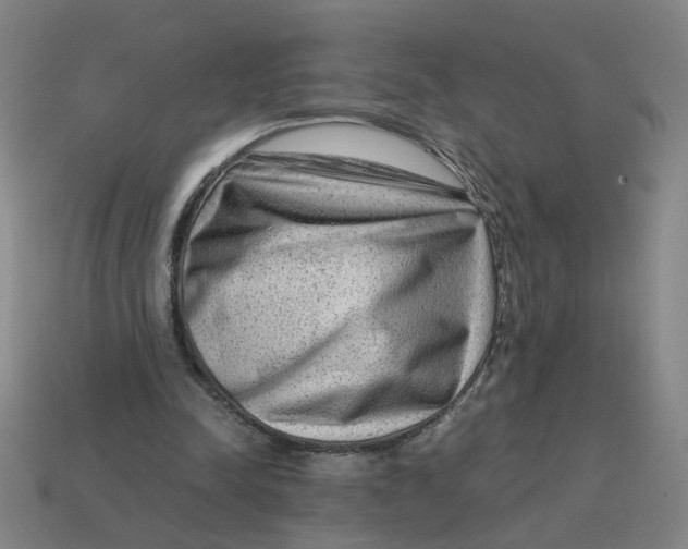 X0000114430342200911061647