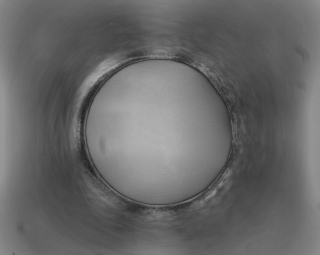 X0000114430343200911061647