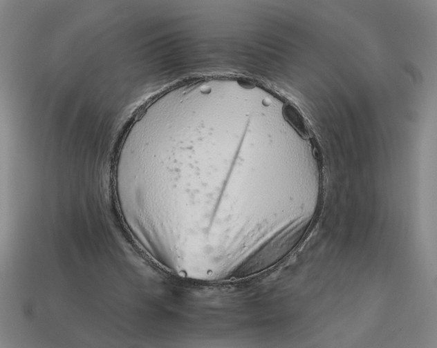 X0000114430345200911061647