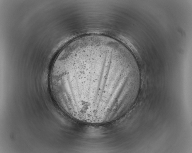 X0000114430346200911061647