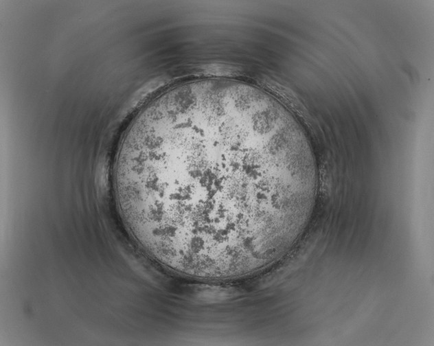 X0000114430347200911061647