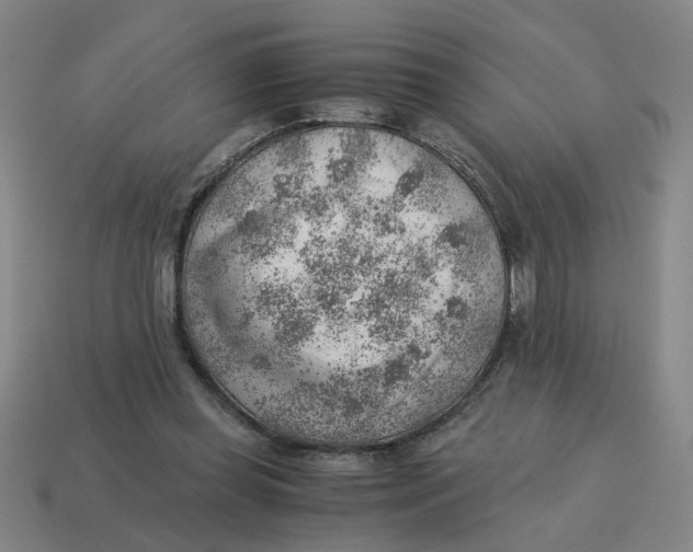 X0000114430349200911061647