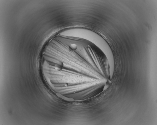 X0000114430350200911061647
