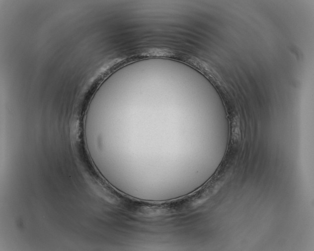 X0000114430351200911061647