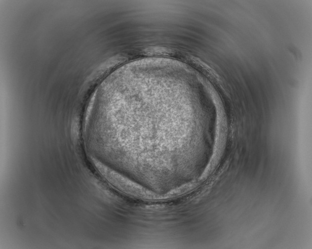 X0000114430353200911061647