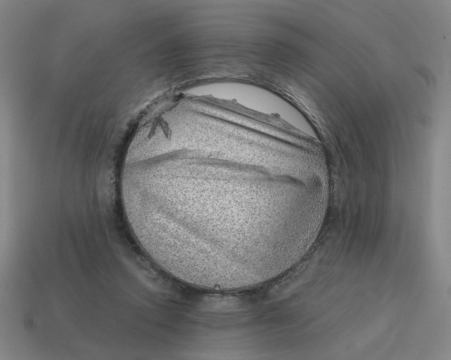 X0000114430354200911061647