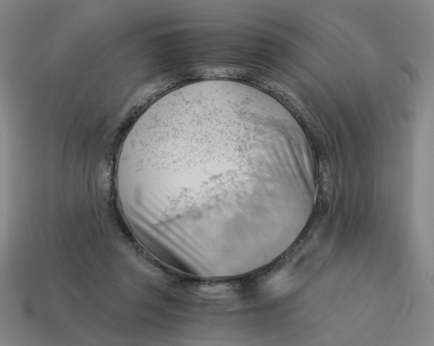 X0000114430357200911061647