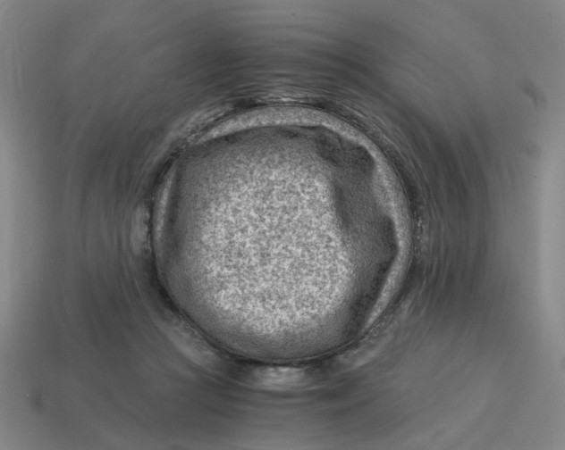 X0000114430361200911061647