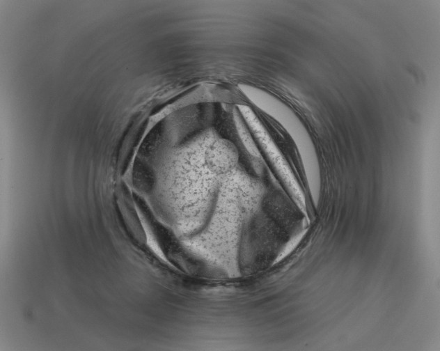 X0000114430362200911061648