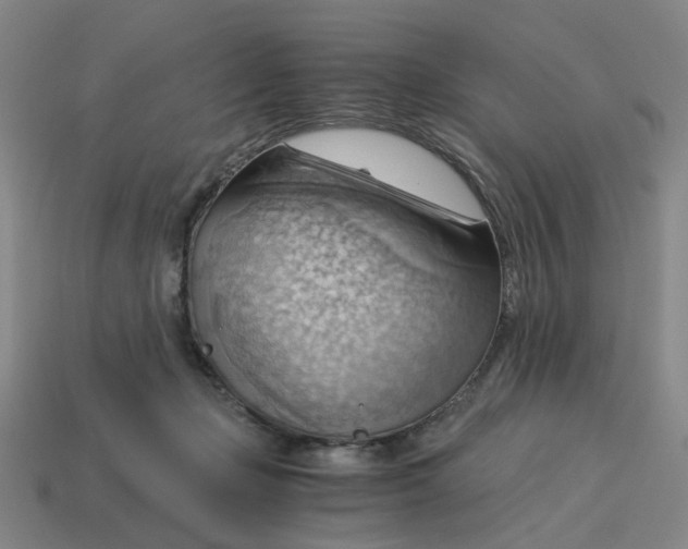 X0000114430365200911061648