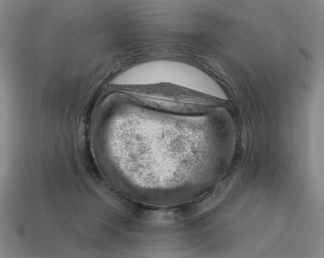 X0000114430366200911061648