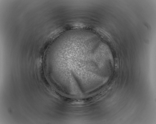 X0000114430369200911061648