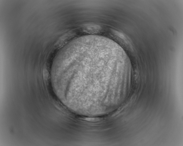 X0000114430371200911061648