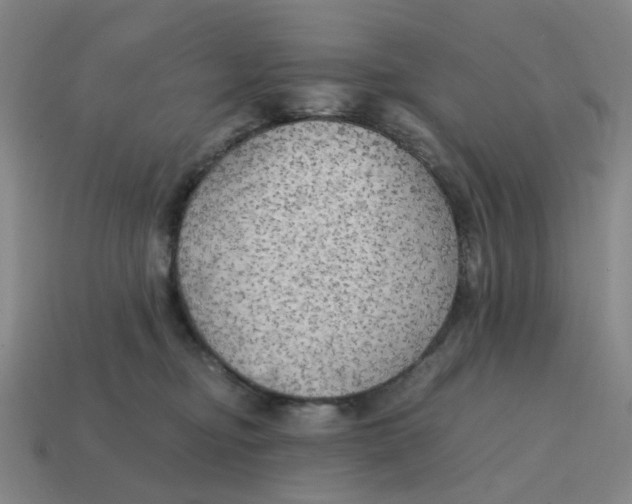 X0000114430374200911061648